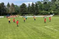 Finale Coupe Crédit Mutuel Féminines 21-05-2018 (4)