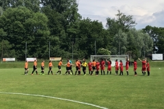 Finale Coupe Crédit Mutuel Féminines 21-05-2018 (8)