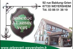 Arbre-Vert-Weyersheim-PUB-PLAQUETTE-SSW-100-ANS