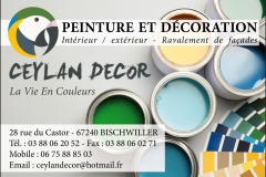 CAYLAN-Decor-PUB-PLAQUETTE-SSW-100-ANS