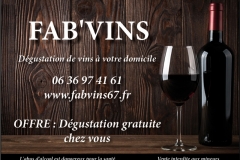 FAB-VINS-PUB-PLAQUETTE-SSW-100-ANS