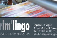 ImprimLingo-PUB-PLAQUETTE-SSW-100-ANS