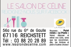 Le-Salon-de-Celine-PUB-PLAQUETTE-SSW-100-ANS