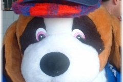 Mascotte, Whirscher Kipp